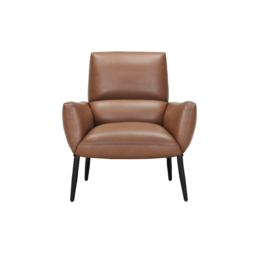 Parma Armchair - Leather image 1